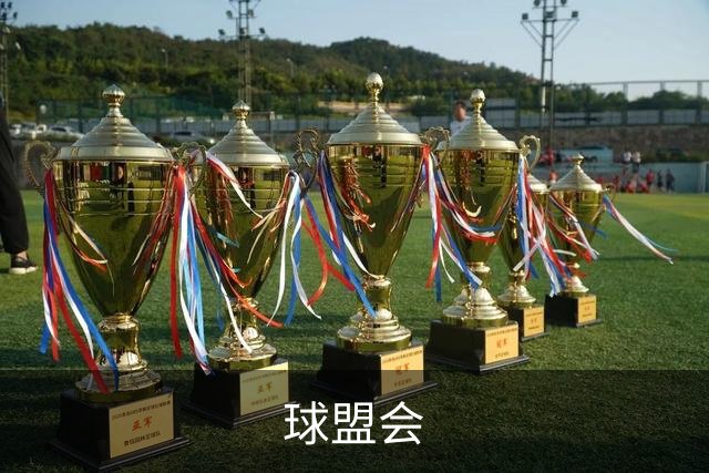球盟会企业介绍